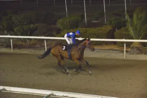 ΙΠΠΟΔΡΟΜΟΣ ΚΥΠΡΟΣ / IPPODROMOS KYPROS ΚΑΡΑΜΠΙΝΑ - ΚΥΠΕΛΛΟ ΑΜΑΖΟΝΩΝ - 28/10/2025