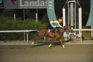 ΙΠΠΟΔΡΟΜΟΣ ΚΥΠΡΟΣ / IPPODROMOS KYPROS ΠΙΛΙΠΙΝΤΗΣ - 01/10/2025