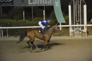 ΙΠΠΟΔΡΟΜΟΣ ΚΥΠΡΟΣ / IPPODROMOS KYPROS ΚΑΡΑΜΠΙΝΑ - ΚΥΠΕΛΛΟ ΑΜΑΖΟΝΩΝ - 28/10/2025