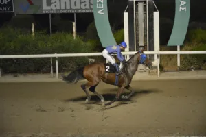 ΙΠΠΟΔΡΟΜΟΣ ΚΥΠΡΟΣ / IPPODROMOS KYPROS ΚΑΛΑΝΤΙΩΝΑΣ - 01/10/2025