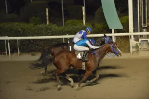 ΙΠΠΟΔΡΟΜΟΣ ΚΥΠΡΟΣ / IPPODROMOS KYPROS ΛΙΖΑΡΝΤ - 28/10/2025