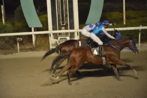 ΙΠΠΟΔΡΟΜΟΣ ΚΥΠΡΟΣ / IPPODROMOS KYPROS ΛΙΖΑΡΝΤ - 28/10/2025