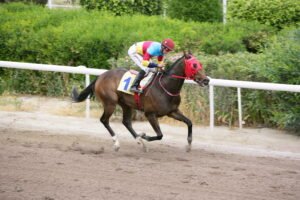 ΙΠΠΟΔΡΟΜΟΣ ΚΥΠΡΟΣ / IPPODROMOS KYPROS