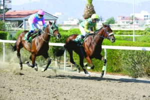 ΙΠΠΟΔΡΟΜΟΣ ΚΥΠΡΟΣ / IPPODROMOS KYPROS