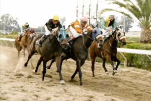 ΙΠΠΟΔΡΟΜΟΣ ΚΥΠΡΟΣ / IPPODROMOS KYPROS