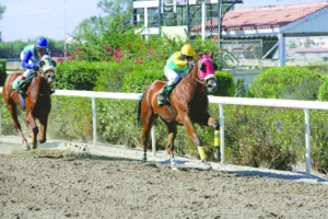 ΙΠΠΟΔΡΟΜΟΣ ΚΥΠΡΟΣ / IPPODROMOS KYPROS