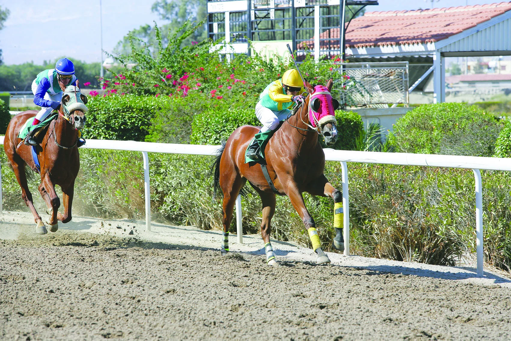 ΙΠΠΟΔΡΟΜΟΣ ΚΥΠΡΟΣ / IPPODROMOS KYPROS
