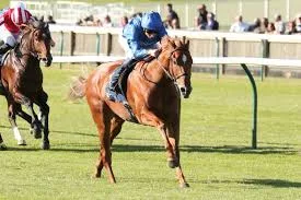 O Distant Storm στη νίκη του στο Tattersalls Stakes.