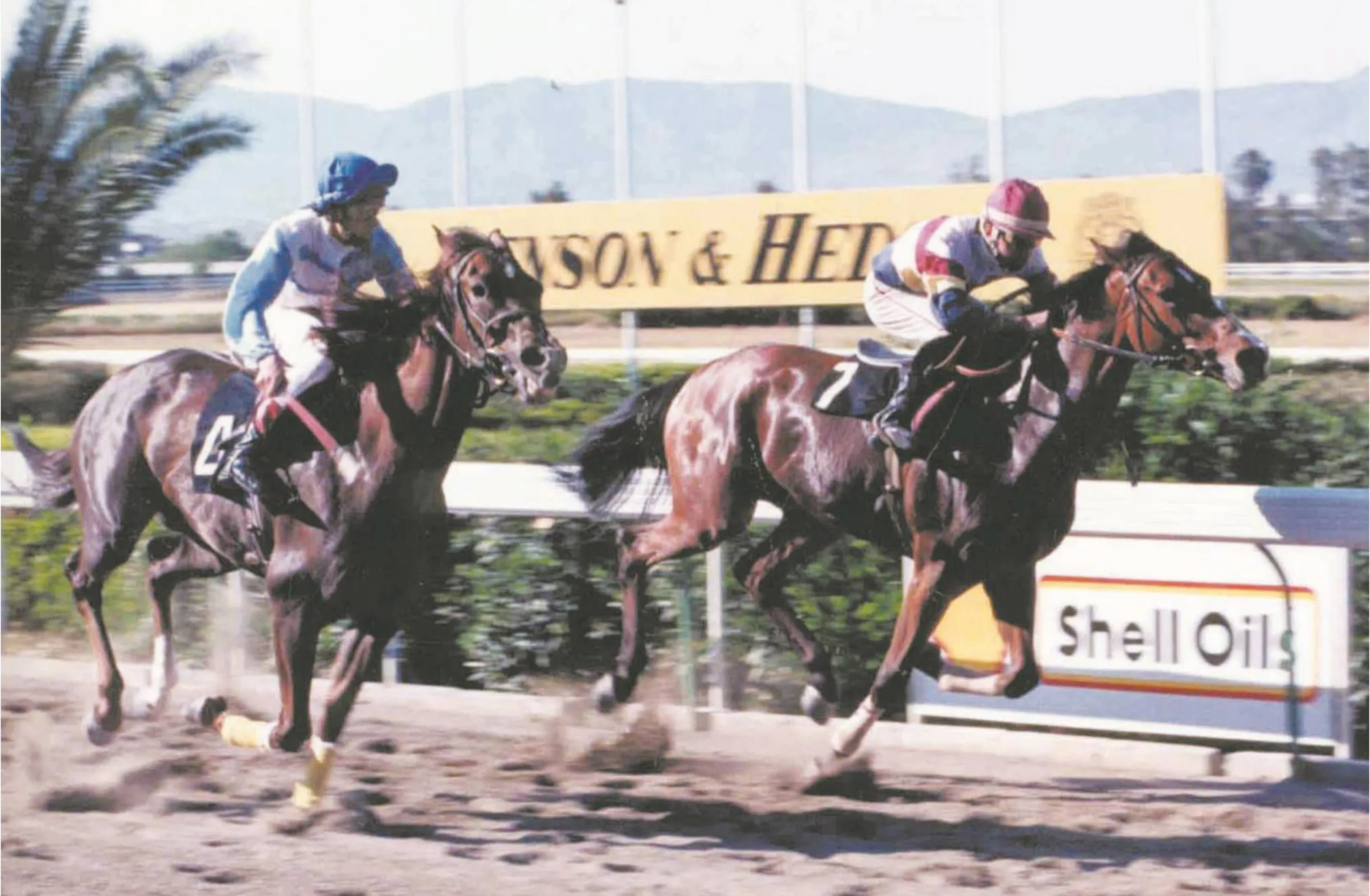 ΙΠΠΟΔΡΟΜΟΣ ΚΥΠΡΟΣ / IPPODROMOS KYPROS