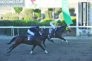 ΙΠΠΟΔΡΟΜΟΣ ΚΥΠΡΟΣ / IPPODROMOS KYPROS ΜΠΙΓΚ ΗΛΙΑΣ - 01/11/2025