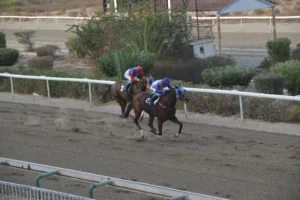 ΙΠΠΟΔΡΟΜΟΣ ΚΥΠΡΟΣ / IPPODROMOS KYPROS ΚΥΡΙΟΣ ΠΟΛΥΔΕΥΚΗΣ - 05/11/2025