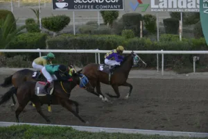 ΙΠΠΟΔΡΟΜΟΣ ΚΥΠΡΟΣ / IPPODROMOS KYPROS ΒΙΤΤΗΣ ΤΙΤΑΝΑΣ - 26/11/2025