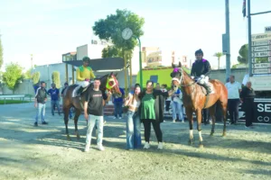 ΙΠΠΟΔΡΟΜΟΣ ΚΥΠΡΟΣ / IPPODROMOS KYPROS ΜΠΙΓΚ ΗΛΙΑΣ - 01/11/2025