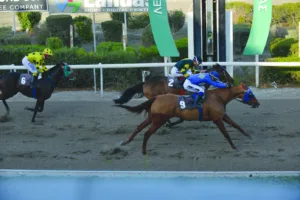 ΙΠΠΟΔΡΟΜΟΣ ΚΥΠΡΟΣ / IPPODROMOS KYPROS ΧΡΥΣΑΝΘΗ - 23/11/2025