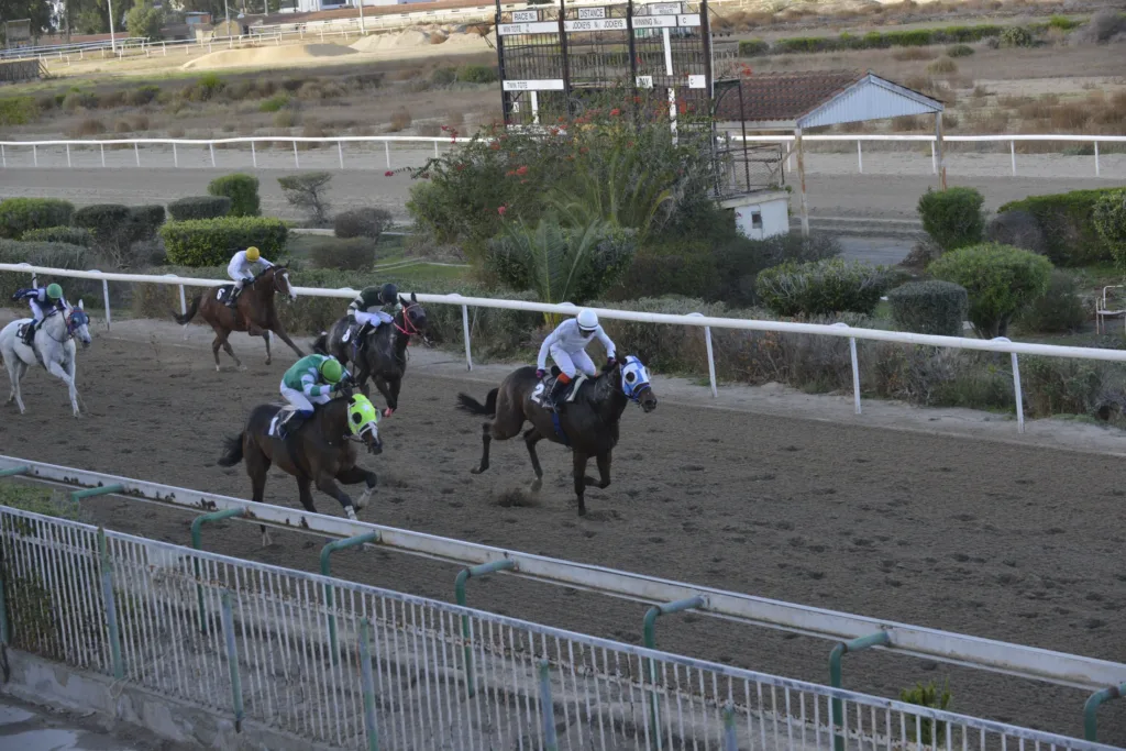 ΙΠΠΟΔΡΟΜΟΣ ΚΥΠΡΟΣ / IPPODROMOS KYPROS ΝΙΚΟΛΑΤΖΗΣ - 30/11/2025