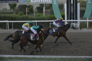 ΙΠΠΟΔΡΟΜΟΣ ΚΥΠΡΟΣ / IPPODROMOS KYPROS ΒΙΤΤΗΣ ΤΙΤΑΝΑΣ - 26/11/2025