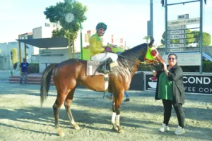 ΙΠΠΟΔΡΟΜΟΣ ΚΥΠΡΟΣ / IPPODROMOS KYPROS ΜΠΙΓΚ ΗΛΙΑΣ - 01/11/2025