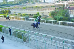 ΙΠΠΟΔΡΟΜΟΣ ΚΥΠΡΟΣ / IPPODROMOS KYPROS ΧΑΒΑΗ ΧΕΙΛΟ - ΠΡΩΤΑΘΛΗΜΑ ΚΟΥΡΙΟΥ - 23/11/2025