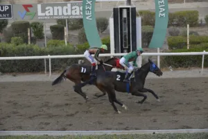 ΙΠΠΟΔΡΟΜΟΣ ΚΥΠΡΟΣ / IPPODROMOS KYPROS ΧΑΒΑΗ ΧΕΪΛΟ - 05/11/2025