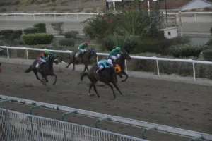 ΙΠΠΟΔΡΟΜΟΣ ΚΥΠΡΟΣ / IPPODROMOS KYPROS ΧΑΒΑΗΣ - 26/11/2025