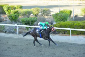 ΙΠΠΟΔΡΟΜΟΣ ΚΥΠΡΟΣ / IPPODROMOS KYPROS ΧΑΒΑΗΣ - 01/11/2025