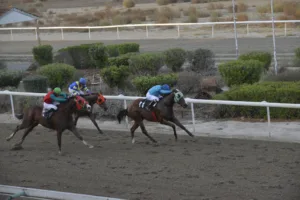 ΙΠΠΟΔΡΟΜΟΣ ΚΥΠΡΟΣ / IPPODROMOS KYPROS ΜΑ ΜΠΕΙΚΕΡ - 19/11/2025