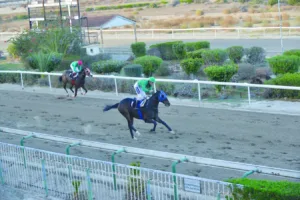 ΙΠΠΟΔΡΟΜΟΣ ΚΥΠΡΟΣ / IPPODROMOS KYPROS ΧΑΒΑΗ ΧΕΙΛΟ - ΠΡΩΤΑΘΛΗΜΑ ΚΟΥΡΙΟΥ - 23/11/2025