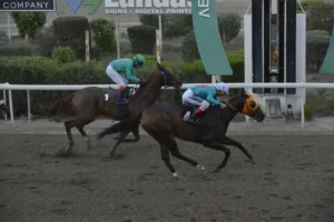 ΙΠΠΟΔΡΟΜΟΣ ΚΥΠΡΟΣ / IPPODROMOS KYPROS ΧΑΒΑΗΣ - 26/11/2025