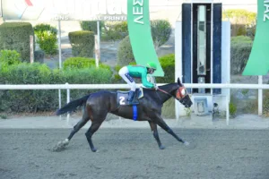 ΙΠΠΟΔΡΟΜΟΣ ΚΥΠΡΟΣ / IPPODROMOS KYPROS ΧΑΒΑΗΣ - 01/11/2025