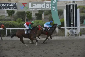 ΙΠΠΟΔΡΟΜΟΣ ΚΥΠΡΟΣ / IPPODROMOS KYPROS ΜΑ ΜΠΕΙΚΕΡ - 19/11/2025