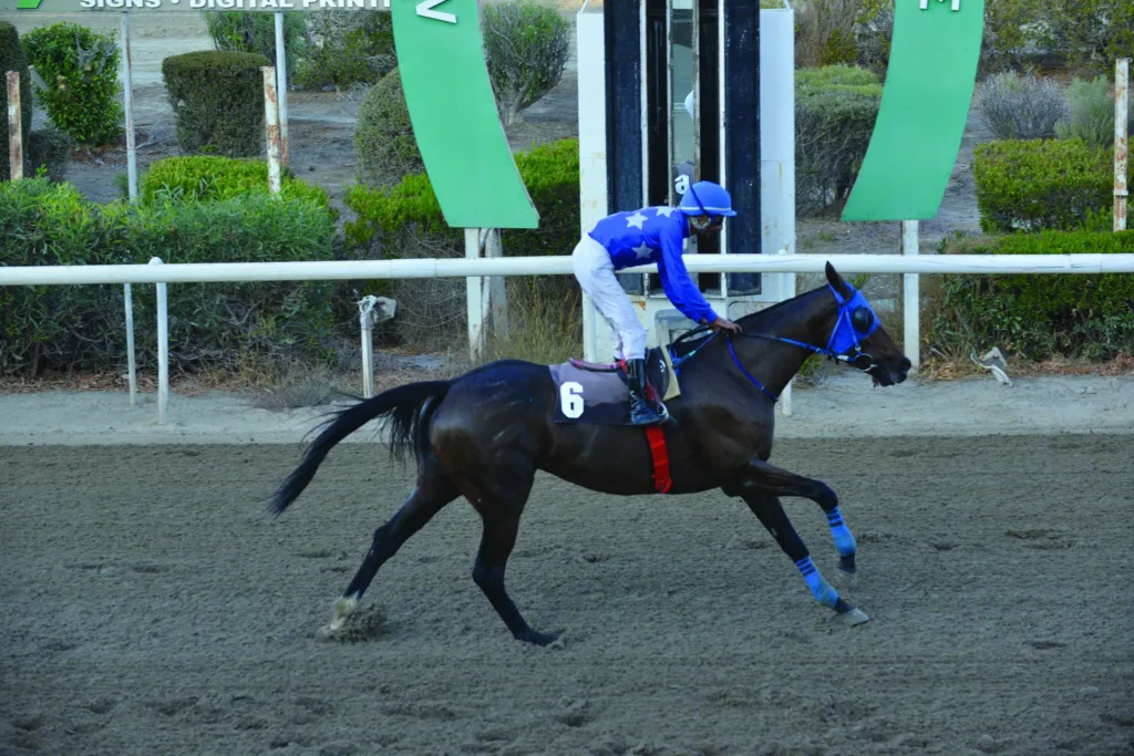 ΙΠΠΟΔΡΟΜΟΣ ΚΥΠΡΟΣ / IPPODROMOS KYPROS ΣΠΑΡΤΗ - 09/11/2025