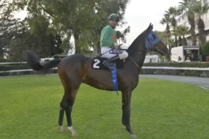 ΙΠΠΟΔΡΟΜΟΣ ΚΥΠΡΟΣ / IPPODROMOS KYPROS ΧΑΒΑΗ ΧΕΪΛΟ - 05/11/2025