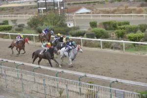 ΙΠΠΟΔΡΟΜΟΣ ΚΥΠΡΟΣ / IPPODROMOS KYPROS ΒΕΝΤΟ ΕΥΡΩΜΑΧΟΣ - 30/11/2025