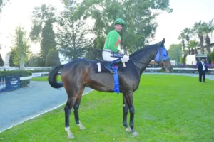 ΙΠΠΟΔΡΟΜΟΣ ΚΥΠΡΟΣ / IPPODROMOS KYPROS ΧΑΒΑΗ ΧΕΙΛΟ - ΠΡΩΤΑΘΛΗΜΑ ΚΟΥΡΙΟΥ - 23/11/2025