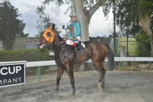 ΙΠΠΟΔΡΟΜΟΣ ΚΥΠΡΟΣ / IPPODROMOS KYPROS ΧΑΒΑΗΣ - 26/11/2025