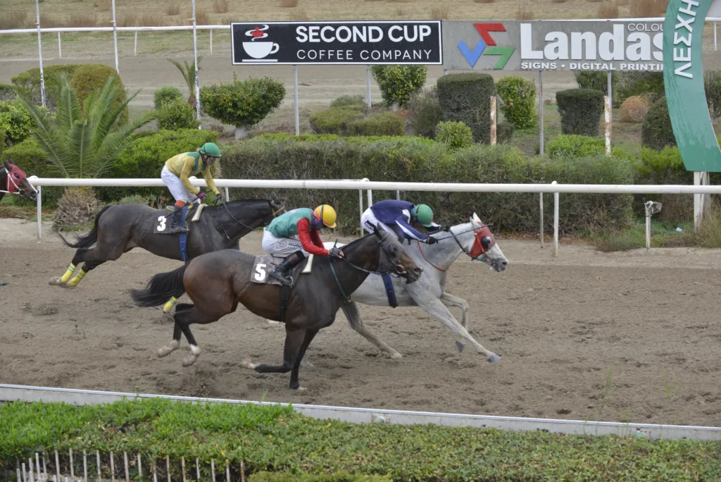 ΙΠΠΟΔΡΟΜΟΣ ΚΥΠΡΟΣ / IPPODROMOS KYPROS ΒΕΝΤΟ ΕΥΡΩΜΑΧΟΣ - 30/11/2025