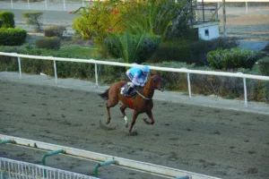 ΙΠΠΟΔΡΟΜΟΣ ΚΥΠΡΟΣ / IPPODROMOS KYPROS ΛΕΞΕΚΟ ΒΕΝΤΣΙΑΡ - 23/11/2025