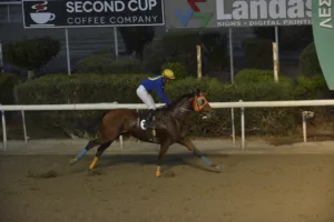 ΙΠΠΟΔΡΟΜΟΣ ΚΥΠΡΟΣ / IPPODROMOS KYPROS ΜΙΚΡΗ ΚΥΡΙΑΚΗ - 19/11/2025