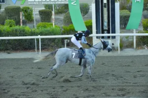 ΙΠΠΟΔΡΟΜΟΣ ΚΥΠΡΟΣ / IPPODROMOS KYPROS ΚΟΥΗΝ ΔΩΡΑ - 01/11/2025