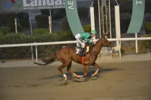 ΙΠΠΟΔΡΟΜΟΣ ΚΥΠΡΟΣ / IPPODROMOS KYPROS ΣΙ ΜΑΣΤΕΡ - 05/11/2025