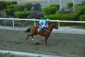 ΙΠΠΟΔΡΟΜΟΣ ΚΥΠΡΟΣ / IPPODROMOS KYPROS ΛΕΞΕΚΟ ΒΕΝΤΣΙΑΡ - 23/11/2025