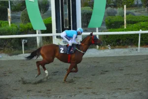 ΙΠΠΟΔΡΟΜΟΣ ΚΥΠΡΟΣ / IPPODROMOS KYPROS ΛΕΞΕΚΟ ΒΕΝΤΣΙΑΡ - 23/11/2025