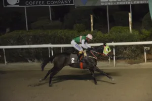 ΙΠΠΟΔΡΟΜΟΣ ΚΥΠΡΟΣ / IPPODROMOS KYPROS ΚΟΥΗΝ ΚΟΛΟΚΑΣΟΥ - 19/11/2025