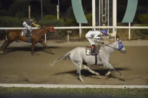 ΙΠΠΟΔΡΟΜΟΣ ΚΥΠΡΟΣ / IPPODROMOS KYPROS ΕΡΩΣ - 05/11/2025