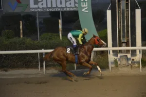 ΙΠΠΟΔΡΟΜΟΣ ΚΥΠΡΟΣ / IPPODROMOS KYPROS ΝΑΣΤΙΑ - 26/11/2025