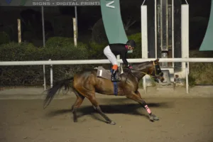 ΙΠΠΟΔΡΟΜΟΣ ΚΥΠΡΟΣ / IPPODROMOS KYPROS ΟΥΓΓΡΟΣ - 26/11/2025