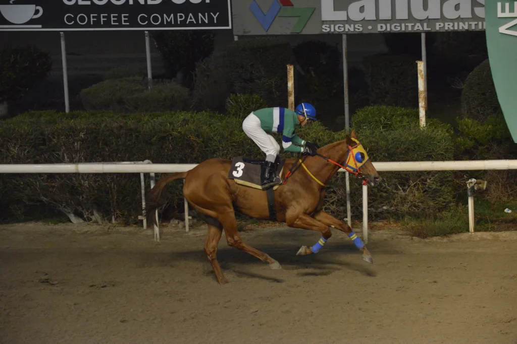 ΙΠΠΟΔΡΟΜΟΣ ΚΥΠΡΟΣ / IPPODROMOS KYPROS ΣΑΝΤΑ ΚΛΑΡΑ - 30/11/2025