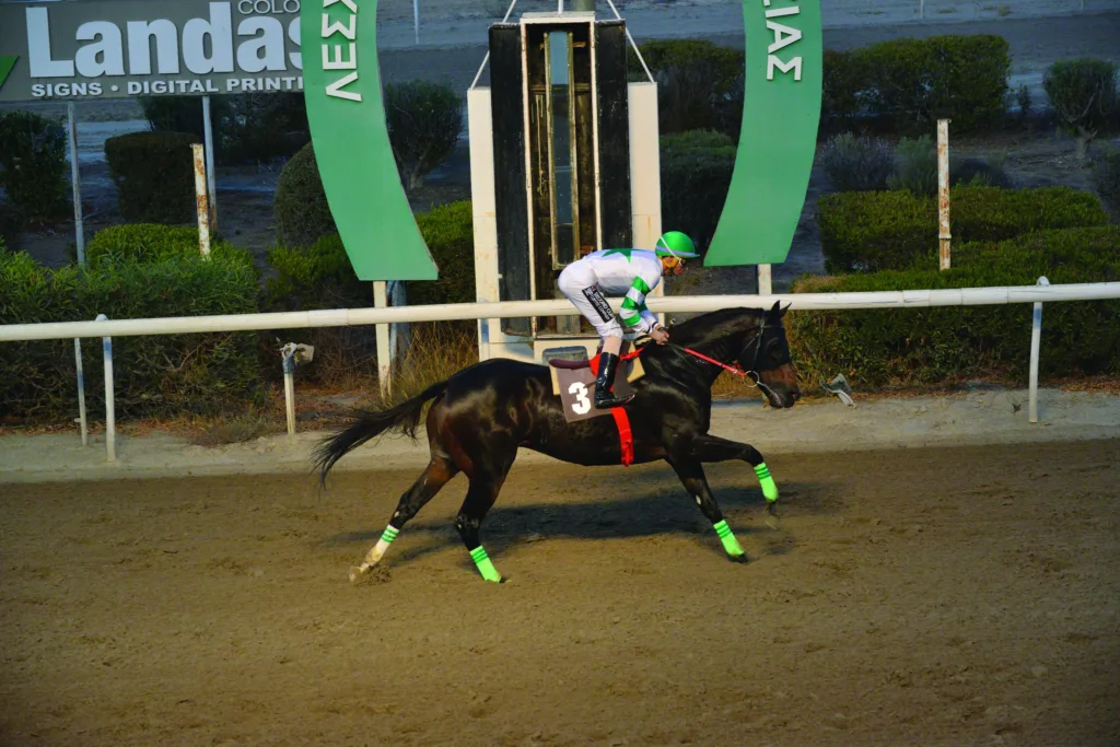 ΙΠΠΟΔΡΟΜΟΣ ΚΥΠΡΟΣ / IPPODROMOS KYPROS ΓΗΡΥΟΝΗΣ - 09/11/2025