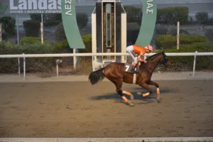 ΙΠΠΟΔΡΟΜΟΣ ΚΥΠΡΟΣ / IPPODROMOS KYPROS ΧΟΣΕ ΑΡΜΑΝΤΟ - 01/11/2025