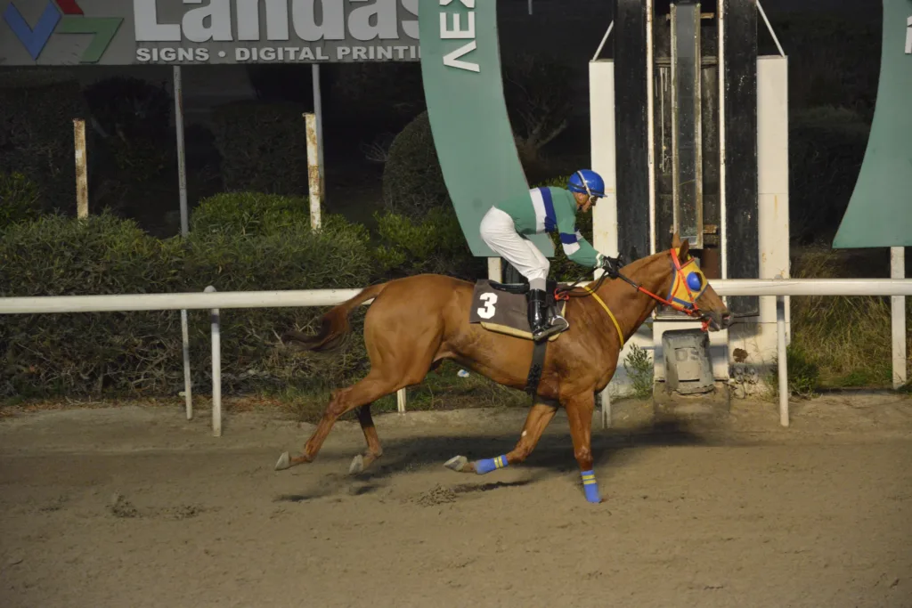 ΙΠΠΟΔΡΟΜΟΣ ΚΥΠΡΟΣ / IPPODROMOS KYPROS ΣΑΝΤΑ ΚΛΑΡΑ - 30/11/2025